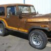 79-86 CJ7 Rear Liftgate For Removable Hardtop
