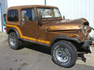 79-86 CJ7 Rear Liftgate For Removable Hardtop
